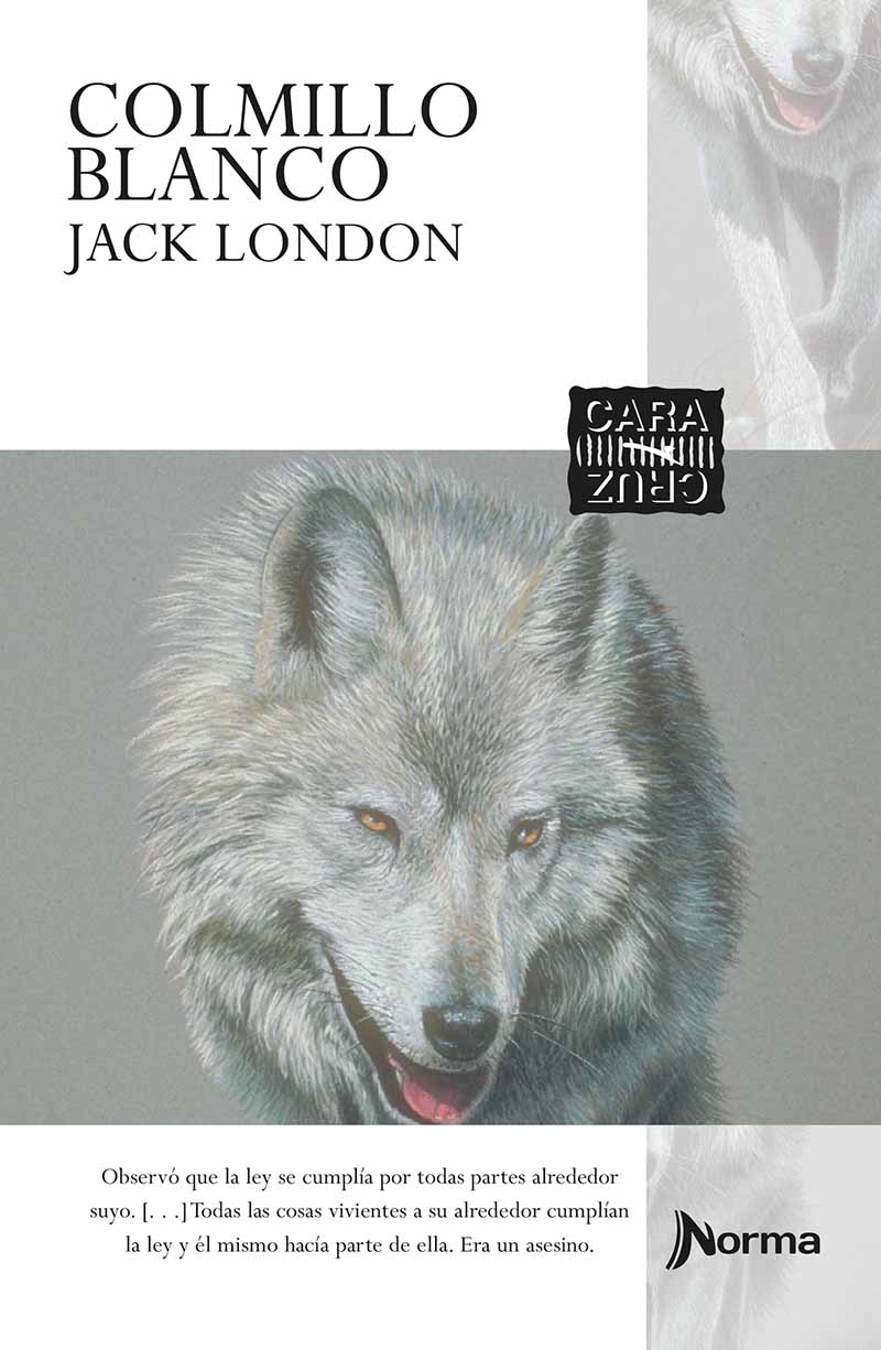 Literatura Infantil y Juvenil Colmillo blanco, Jack London, Adolescentes